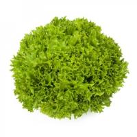 ЭКЗАКТ F1 салат Райк Цваан, 5 тыс.драже