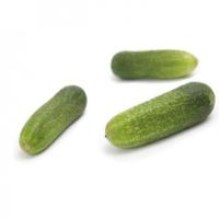 РЭППЕР F1 огурец Райк Цваан, PR, 250 шт