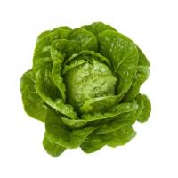 КВИНТУС F1 салат Райк Цваан, 5 тыс.драже