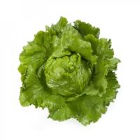 САНТАРИНАС F1 салат айсберг Райк Цваан, 5 тыс.драже