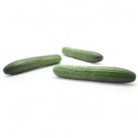 ЯНИ F1 огурец Райк Цваан