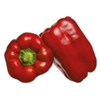 ФАВИЛА F1 перец Семинис