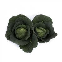 МАДЛЕН F1 капуста савойская Райк Цваан, NS, 1000 шт