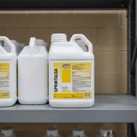 Спринталга, 5 л