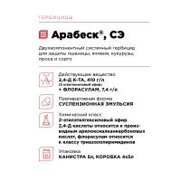 Арабеск, СЭ 5 л