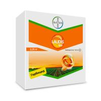 Лаудис, ВДГ