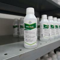 Превикур Энерджи, ВК (Армения) 1 л