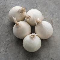 СТАРДАСТ F1 лук Бейо