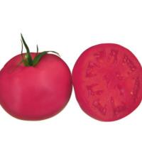 ПИНК РАЙЗ F1 томат Саката