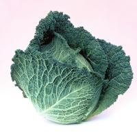 ОВАСА F1 капуста савойская Бейо