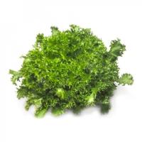 СИГАЛ F1 эндивий Райк Цваан, 5 тыс.драже