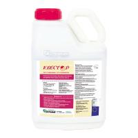 Квестор, КС