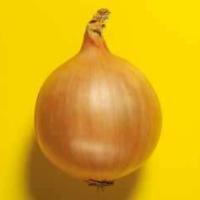 ЦЕНТРО F1 лук репчатый Хазера