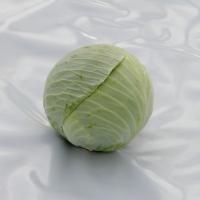 ЭЛАСТОР F1 капуста белокочанная Сингента