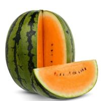 ДИОРАНЖ F1 арбуз Гриномика