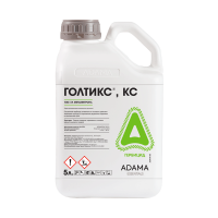 Голтикс, КС