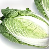 АЙКИДО F1 капуста пекинская Гавриш