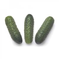 СОНАТА P3 F1 огурец Райк Цваан, PR, 250 гр