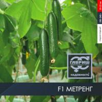 МЕТРЕНГ F1 огурец Гавриш