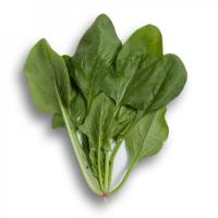 БОА F1 шпинат Райк Цваан, PR, 100 тыс.шт