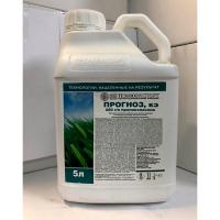 Прогноз, КЭ