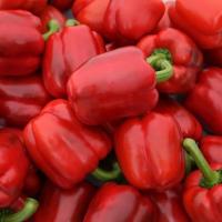 ЮПИТЕР F1 перец Сингента