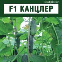 КАНЦЛЕР F1 огурец Гавриш