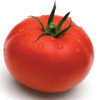 ВОЛВЕРИН F1 томат Сингента