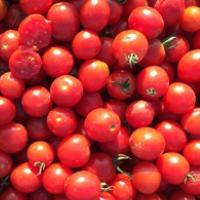 ТО 1435 F1 томат Семинис