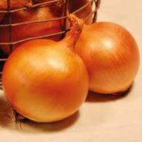 ФРОНТИНО F1 лук репчатый Хазера