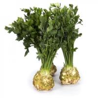 ПРЕЗИДЕНТ P3 F1 сельдерей Райк Цваан, NS, 10 тыс.шт