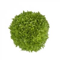 ЭКСТЕМП F1 салат Райк Цваан, 5 тыс.драже