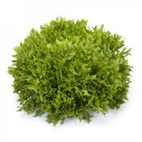 ЭКЗАМ F1 салат Райк Цваан, 5 тыс.драже