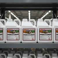 Айвенго, КЭ 5 л