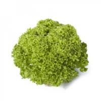 ЛУГАНО F1 салат Райк Цваан, 5 тыс.драже