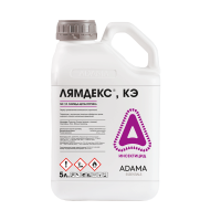 Лямдекс, КЭ