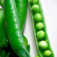 МУЦИО F1 горох Сингента (1 кг)