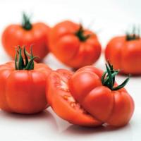 РЕБЕЛИОН F1 томат Вильморин