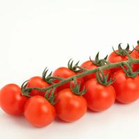 ТРЕБУС F1 томат Энза Заден