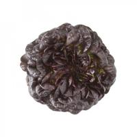 БАРЛАХ F1 салат Райк Цваан, 5 тыс.драже