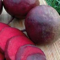 ФАЛЬКОН F1 свекла Саката (фр.3, 2-3, 6мм)