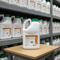 Максим Голд, КС 5 л