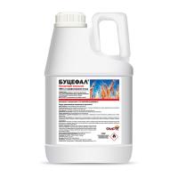 Буцефал, КЭ