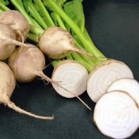 АВАЛАНЧ F1 свекла Бейо (3.0-3.5)