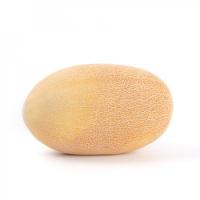 КАТЕРИНА F1 дыня Райк Цваан, PR, 100 шт