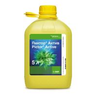 Пиктор Актив, КС