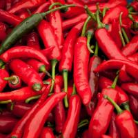 ХАРАКИРИ F1 перец острый Гавриш