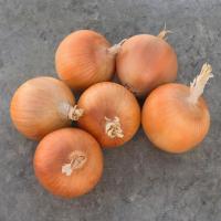 КАРТЬЕ F1 лук Бейо