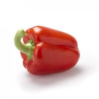 ДАВОС F1 перец Райк Цваан