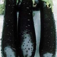 ВАЛЕНТИНА F1 баклажан Семинис